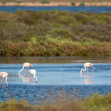 Hyephi T2 Pour 4 Personnes Dans Avec Piscine - Port Apartment *