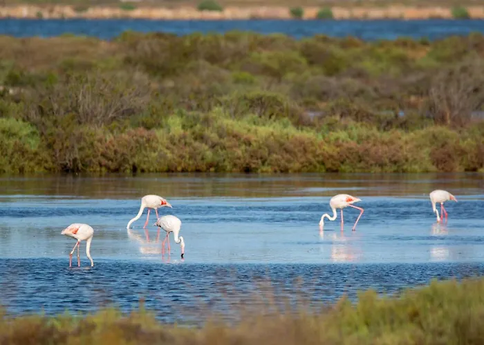 Hyephi T2 Pour 4 Personnes Dans Avec Piscine - Port Apartment *